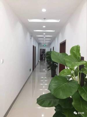 华安证券濉溪淮海路营业部新址开业