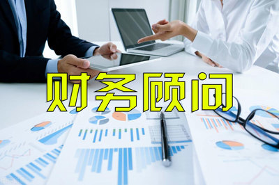 常年财务顾问