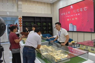 数十家媒体齐聚,运城这家楼盘公开征集项目名称 网易订阅