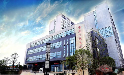 新型信息消费专栏 中至集团 以 智 促 质 聚焦人工智能 寻求高质量发展