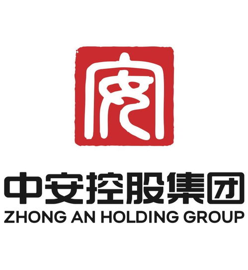 中安控股集团
