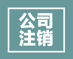 上海公司不注销的后果