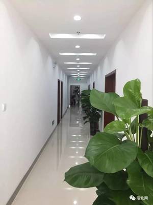 华安证券濉溪淮海路营业部新址开业